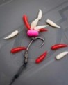 Pop Up Maggots 20pcs