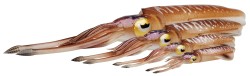 3D SWIM SQUID 25CM 86G S...