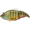 VATALION 115F GLX ITO GILL (SP-C) - 38,5gr