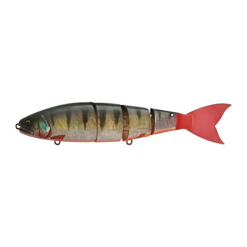 BALAM 245 RED FIN PERCH
