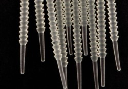 Edges PVA Strips