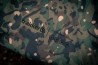 Trakker RLX Bed Cover Wide Camo