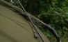 Frontier Camo Mozzy Mesh