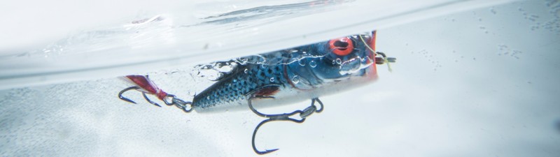 SLIDER 12