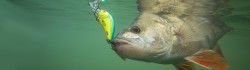 Slider SNK 12cm REAL HOT PERCH