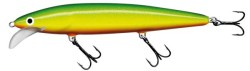 Frisky Shallow Runner...